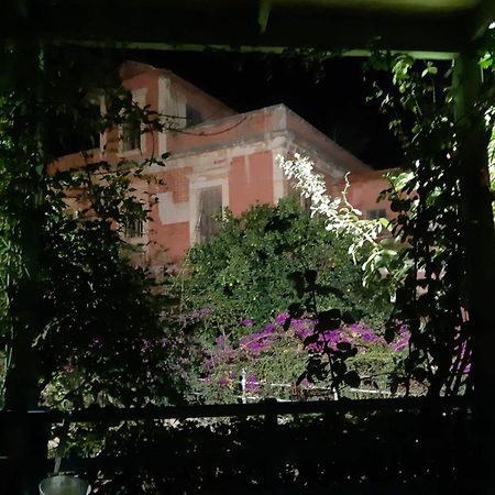 Avgi Garden House Chania With Private Entrance Kültér fotó