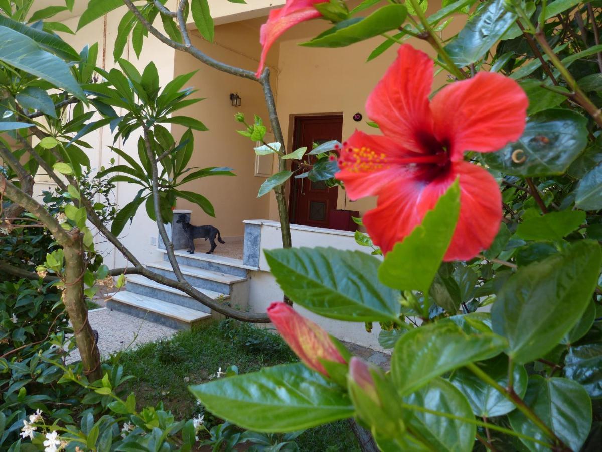 Avgi Garden House Chania With Private Entrance Kültér fotó