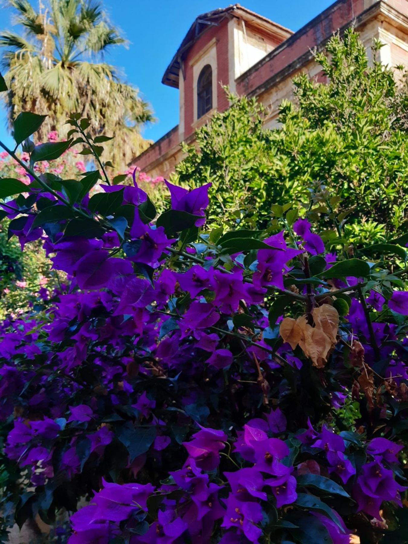 Avgi Garden House Chania With Private Entrance Kültér fotó