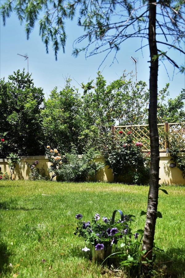 Avgi Garden House Chania With Private Entrance Kültér fotó